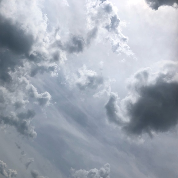 Meet your Posher, Peyton - Picture 1 of 1